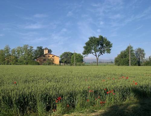 Sabato 10 Settembre  Ritrovo alla Casa della Carità